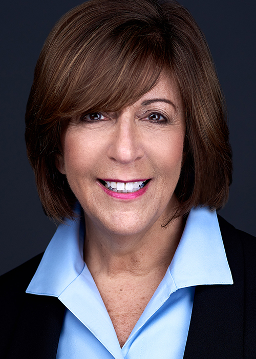 Photograph of Senator  Sara Feigenholtz (D)